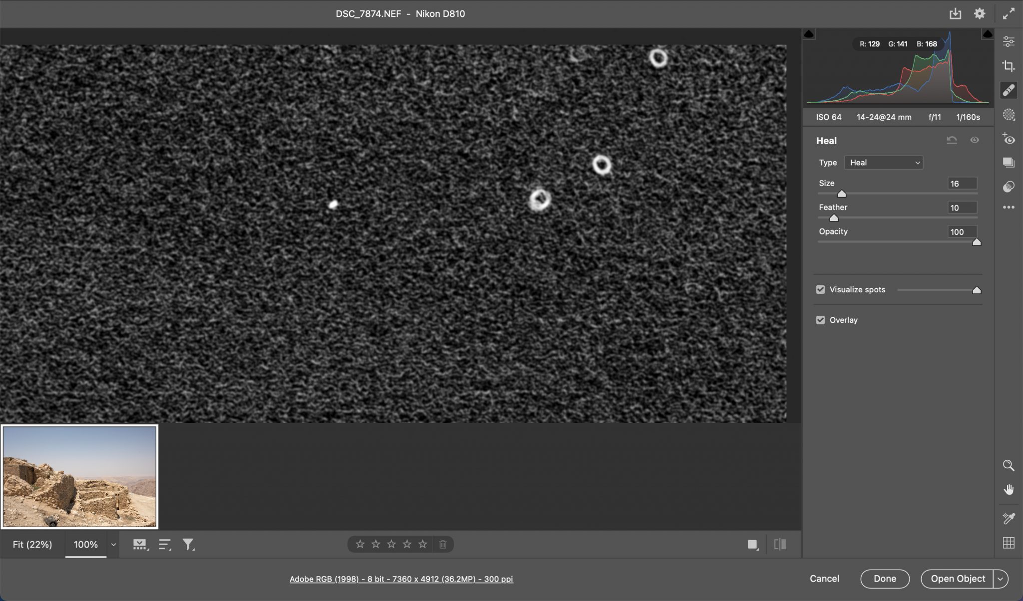 HOW TO Automatically Remove Dust Spots Alex Design Lab